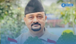 चितवन–३ कांग्रेस सभापतिमा दामोदर न्यौपाने निर्वाचित